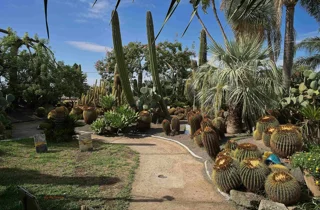 ravino%20gardens%202.webp
