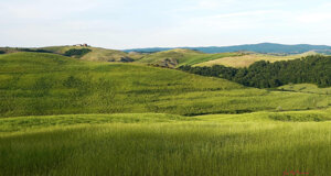 hills%20near%20siena%204.jpeg