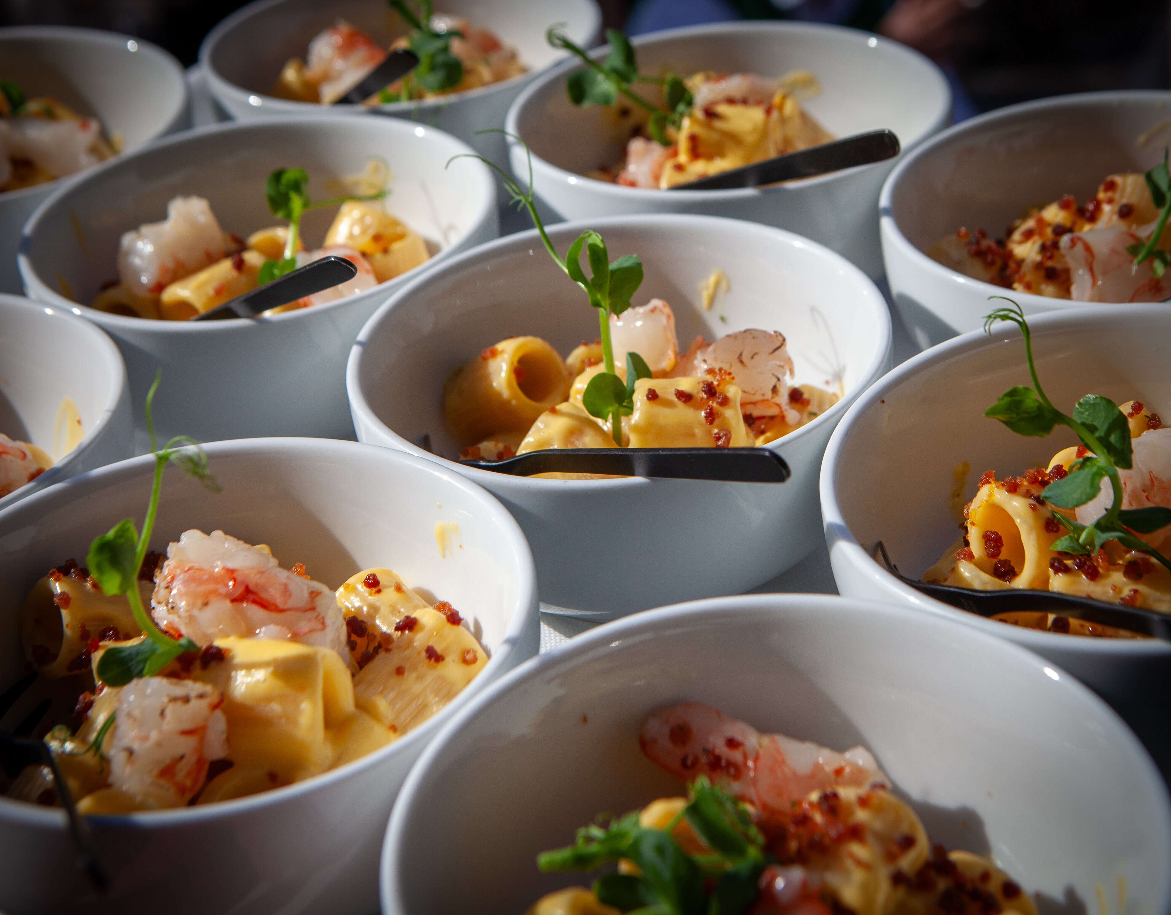 img_1947.jpeg img_1947.jpeg