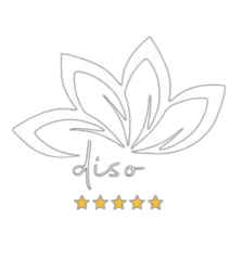 logo diso definitivo