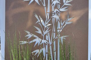 cee1c550-6a70-4da4-bca3-ec6e4924f4a5.jpeg