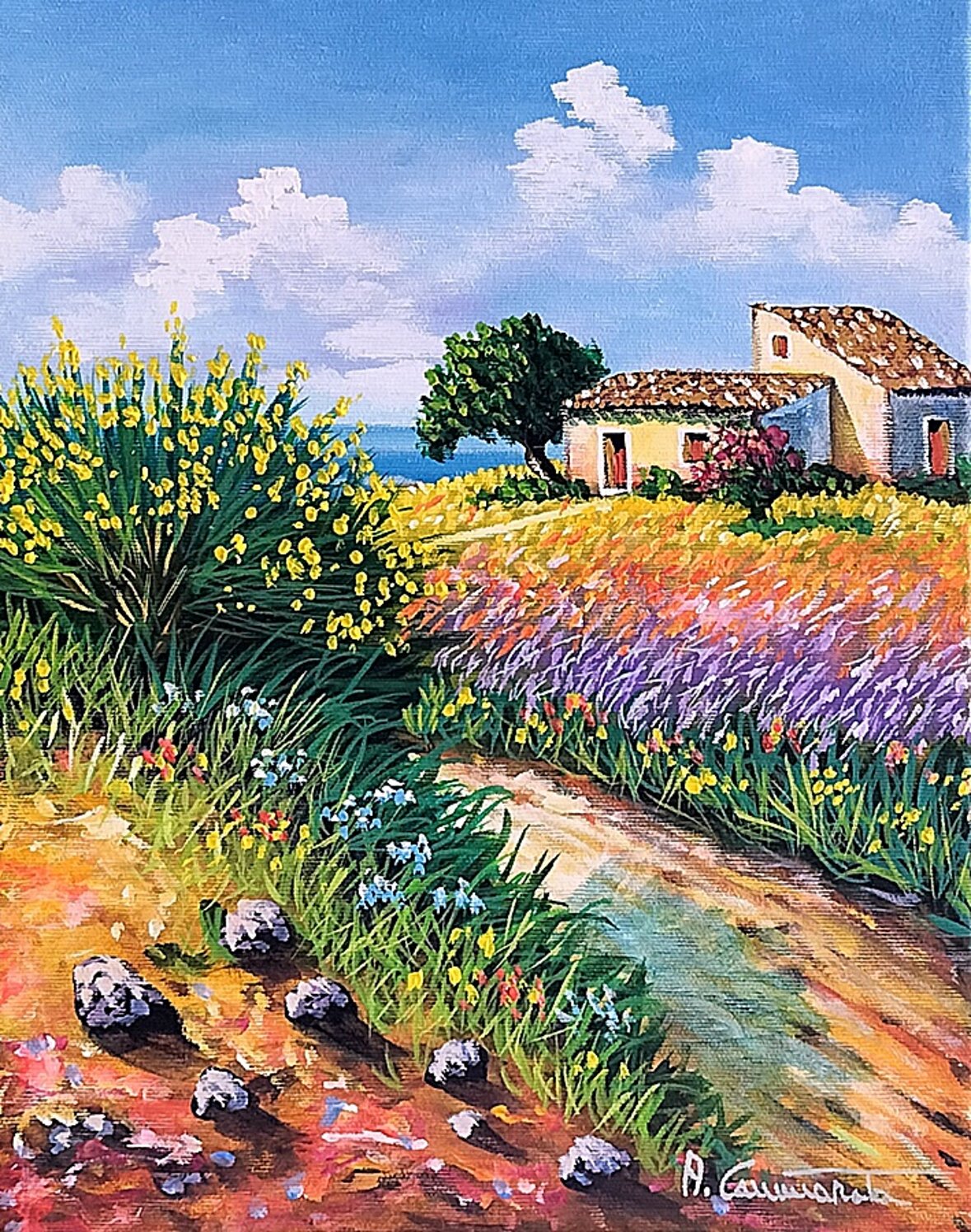primavera a24a63-40x30.jpeg