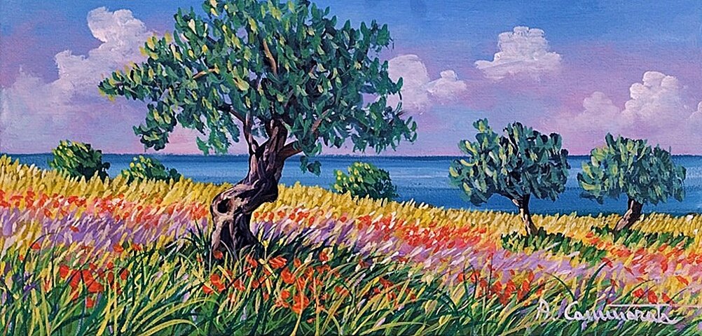 ulivi con papaveri 2025dic189-40x20.jpeg