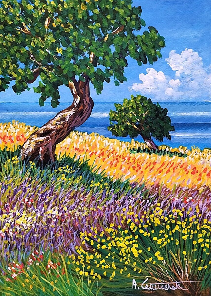 ginestra fiorita 2026gen9-25x35.jpeg