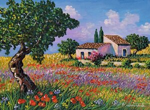 vecchio%20cortile%202025dic188-25x30.jpeg vecchio%20cortile%202025dic188-25x30.jpeg