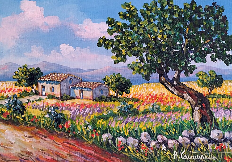 campagna al sud 2025dic204-35x25.jpeg campagna al sud 2025dic204-35x25.jpeg