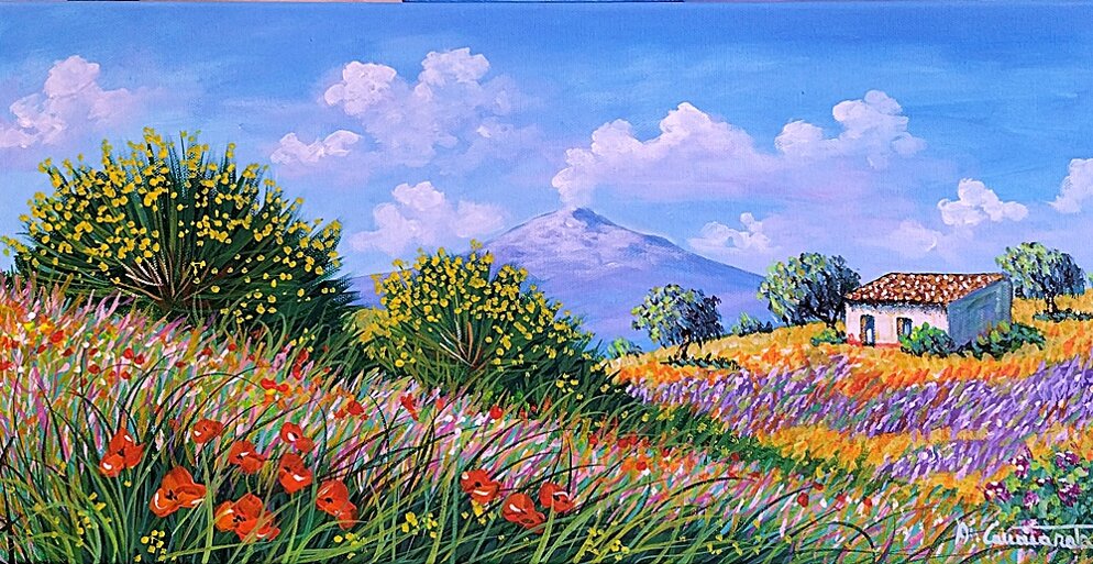 ginestre con l'etna 2026gen13-60x30.jpeg