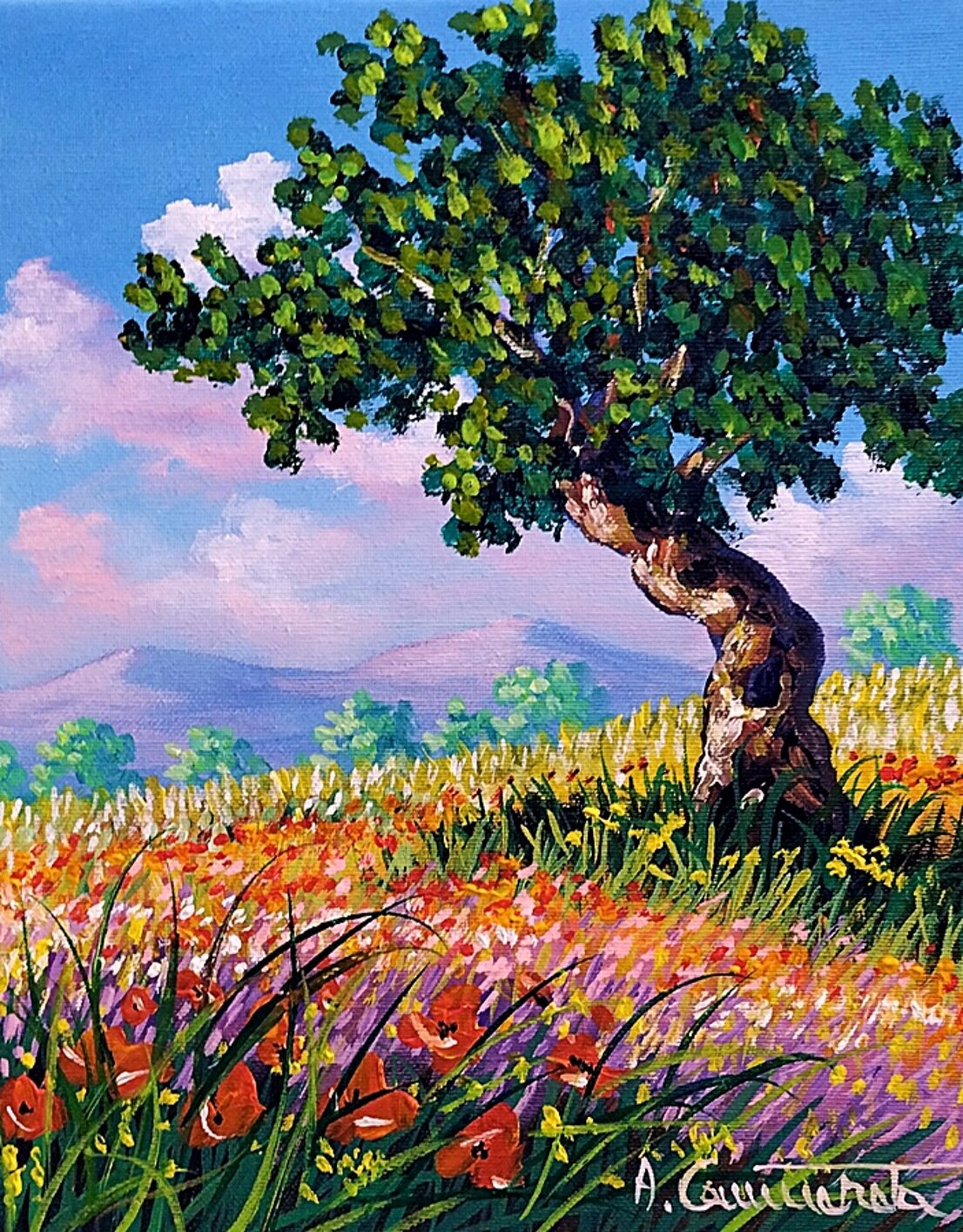 primavera 2026gen5-25x30.jpeg