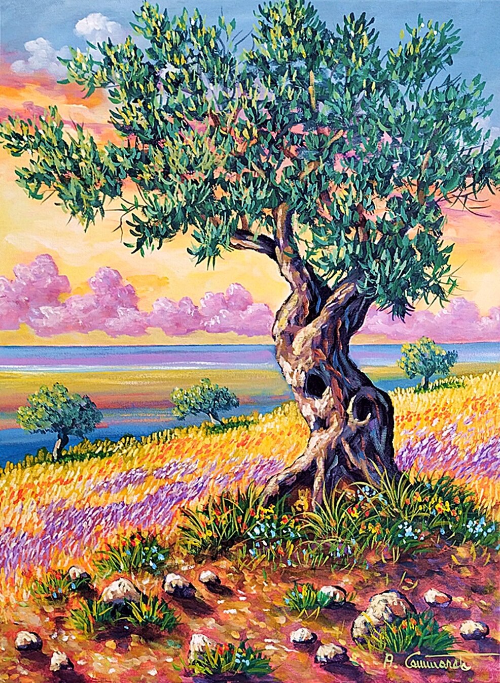 verso sera 2026apr79-45x60.jpeg