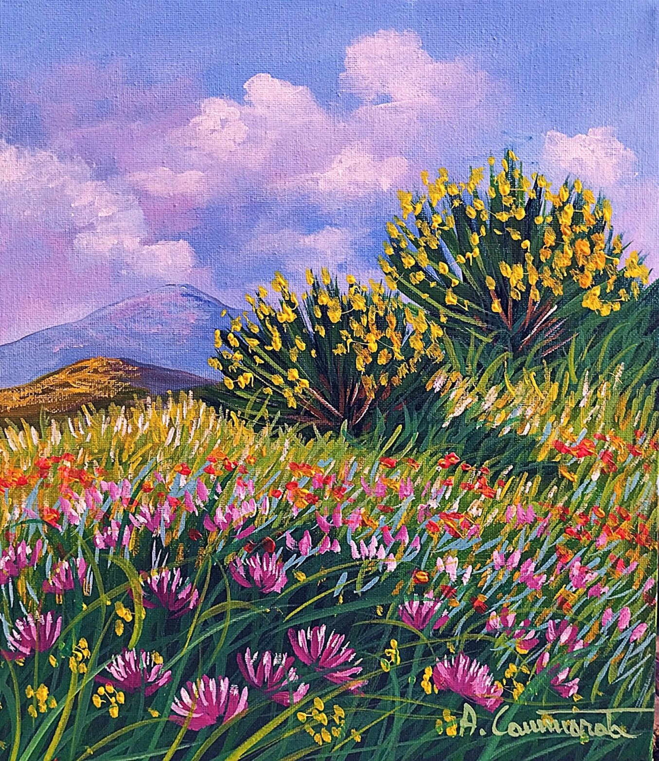 ginestre con l'etna 2026apr84.30x35.jpeg