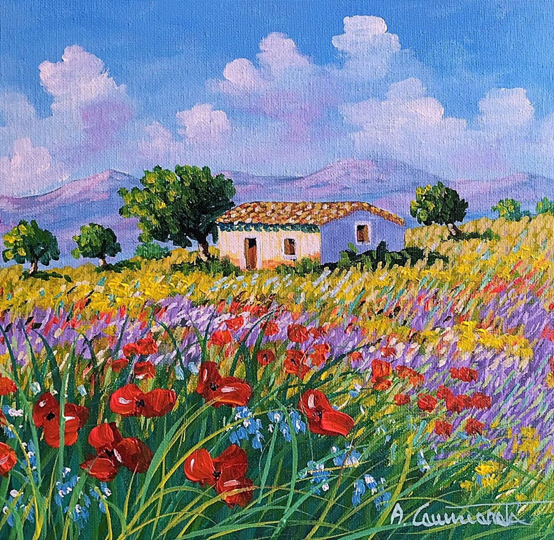 papaveri in collina 2026apr85-30x30.jpeg