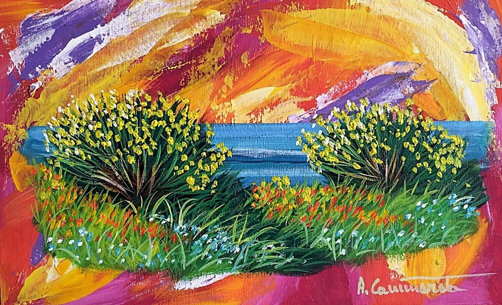 ginestre in fiore 2026mar62t-40x25.jpeg ginestre in fiore 2026mar62t-40x25.jpeg