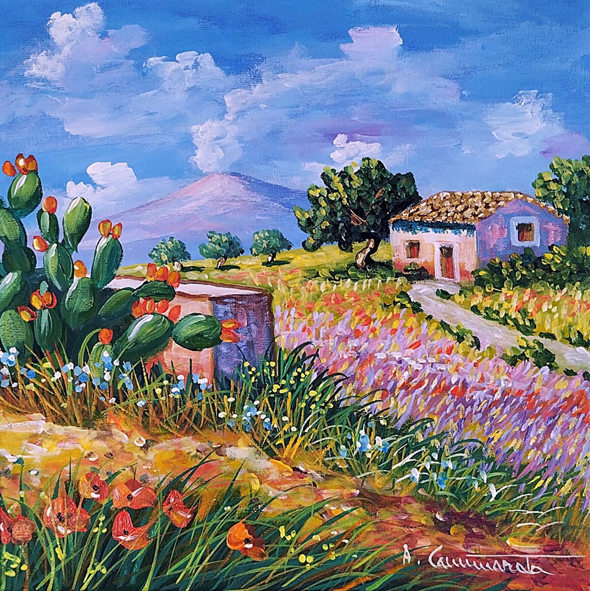 fumo dall' etna 2025dic201-30x30.jpeg fumo dall' etna 2025dic201-30x30.jpeg