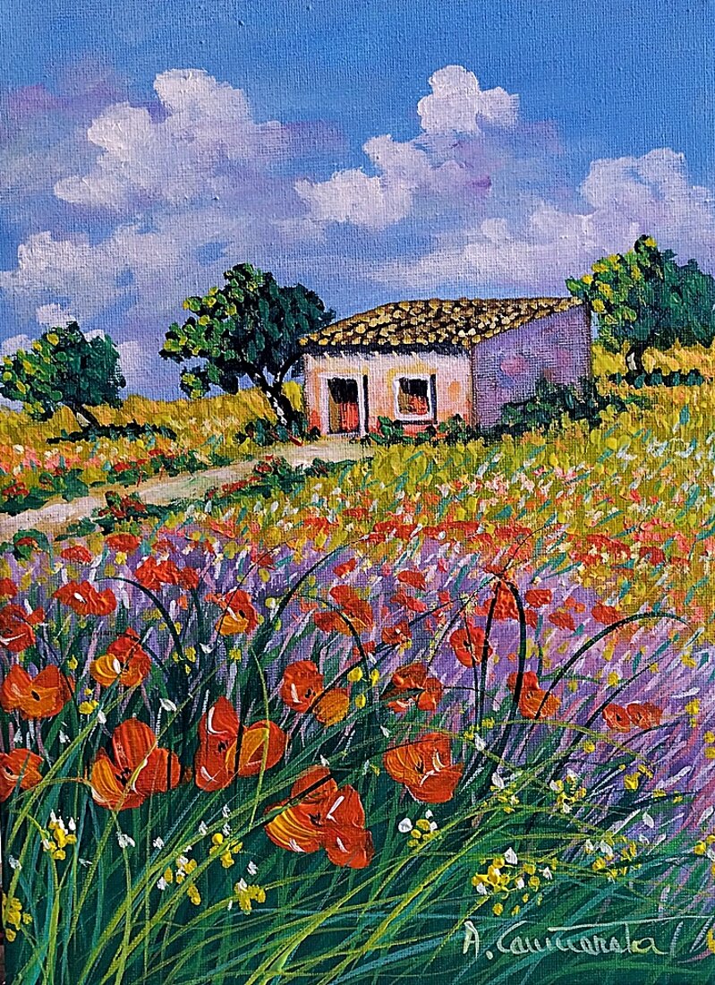 papaveri in collina 2025dic202-25x35.jpeg