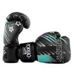 guantoni-da-boxe-power-nero