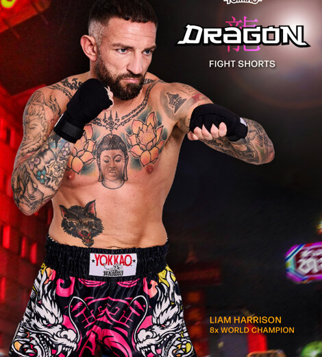 yokkao-sharknado-ii-fight-collection-7.jpeg yokkao-sharknado-ii-fight-collection-7.jpeg