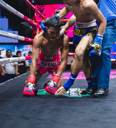 _dsc2450.jpeg _dsc2450.jpeg