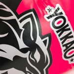 guantoni-da-boxe-original-silver-fucsia