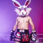guantoni-da-boxe-angry-rabbit