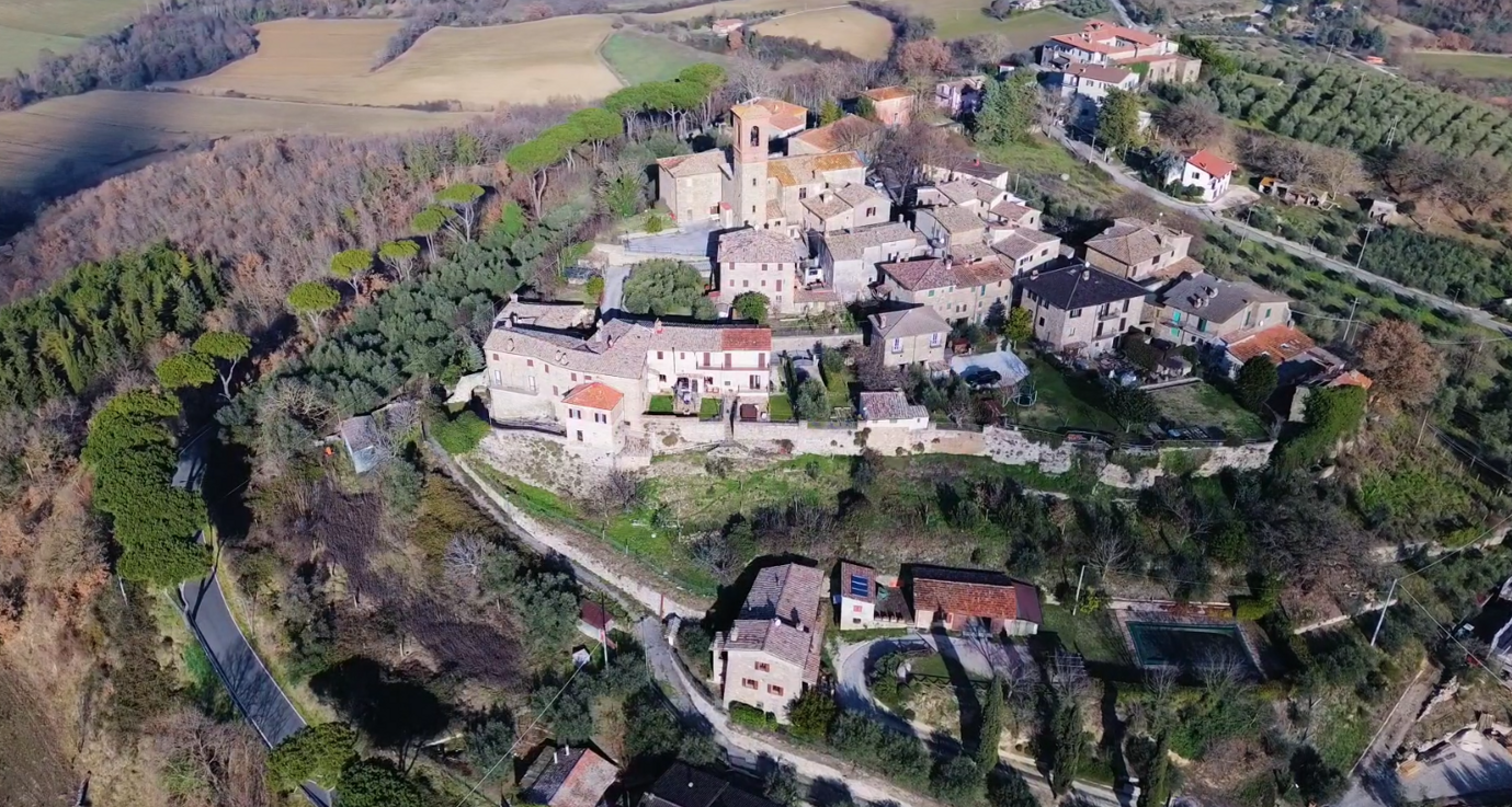 immagine 2026-01-29 162156