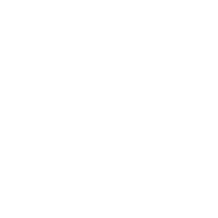 logo_archleo logo_archleo