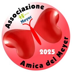 ass.amica meyer 2025_page-0001.jpeg