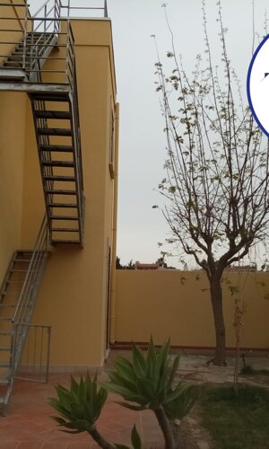 172614555_742351266447449_6282339743975581766_n.jpeg