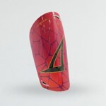 parastinchi-legea-pro