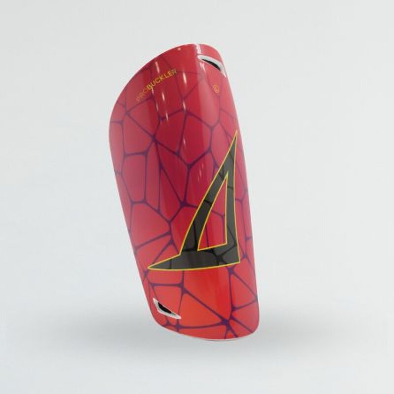 parastinchi-legea-pro