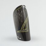 parastinchi-legea-pro