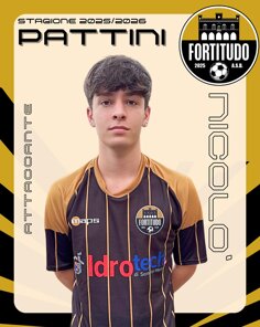pattini.jpeg