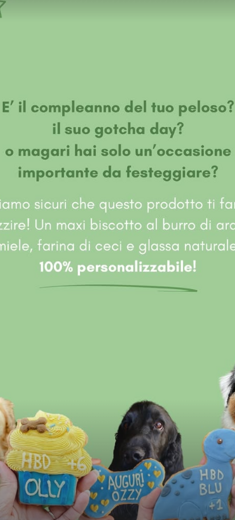 immagine%202026-03-04%20111741