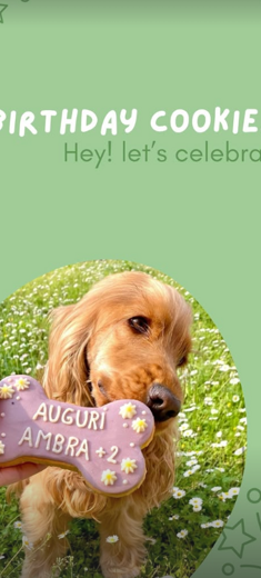 immagine%202026-03-04%20111755