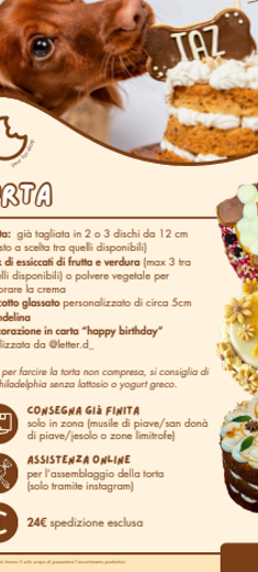immagine%202026-05-27%20113347 immagine%202026-05-27%20113347