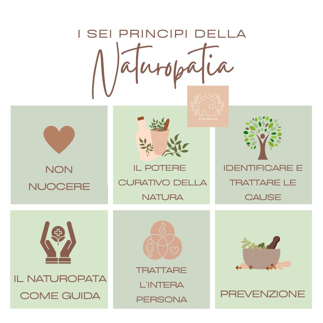 🌿 La Naturopatia: non solo erbe, ma uno stile di vita