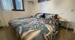 img_8710.jpeg img_8710.jpeg