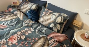 img_8547.jpeg img_8547.jpeg