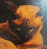 anziana-donna-con-gatto-meta-xx-secolo