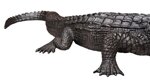 coccodrillo-xx-secolo