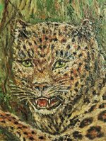 leopardo-in-corsa-prima-meta-900