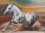 cavallo-al-galoppo-xx-secolo