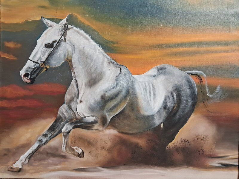 cavallo-al-galoppo-xx-secolo