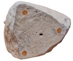 fidia-490-ac-circa-430-ac-circa-dopo-athena-lemnia-xx-secolo