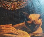 anziana-donna-con-gatto-meta-xx-secolo