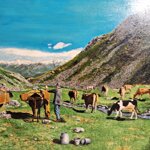 catalano-p-g-paesaggio-di-montagna-con-mucche-al-pascolo-xxi-secolo