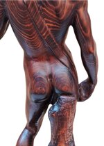 buonarroti-michelangelo-14751564-da-un-modello-di-david-xx-secolo