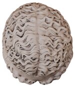 fidia-490-ac-circa-430-ac-circa-dopo-athena-lemnia-xx-secolo