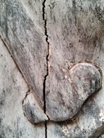 buddha-inizio-prima-meta-xx-secolo