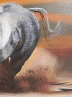 cavallo-al-galoppo-xx-secolo