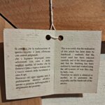 venezia-piazza-san-marco-meta-xx-secolo